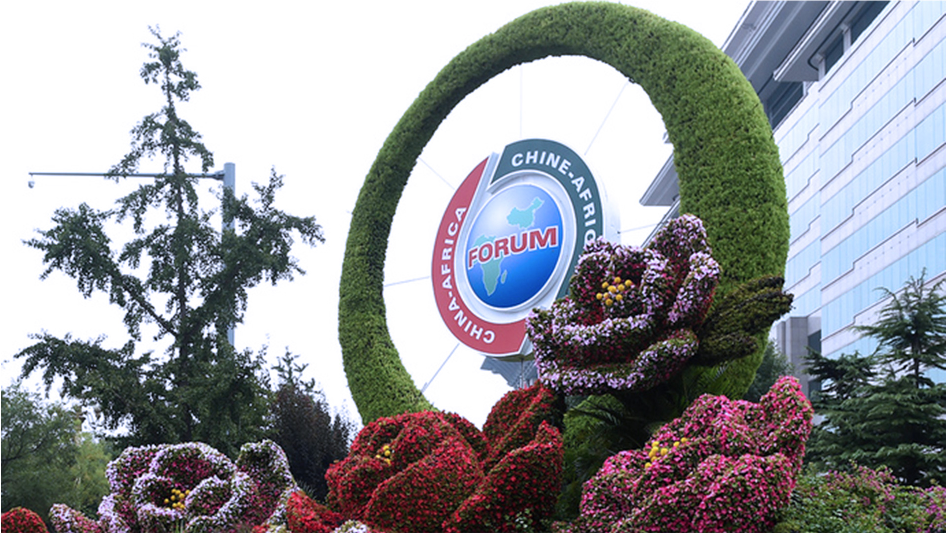 2018 China-Africa Cooperation Forum Summit-VISSONICS(图1)